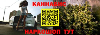 МДПВ Партизанск