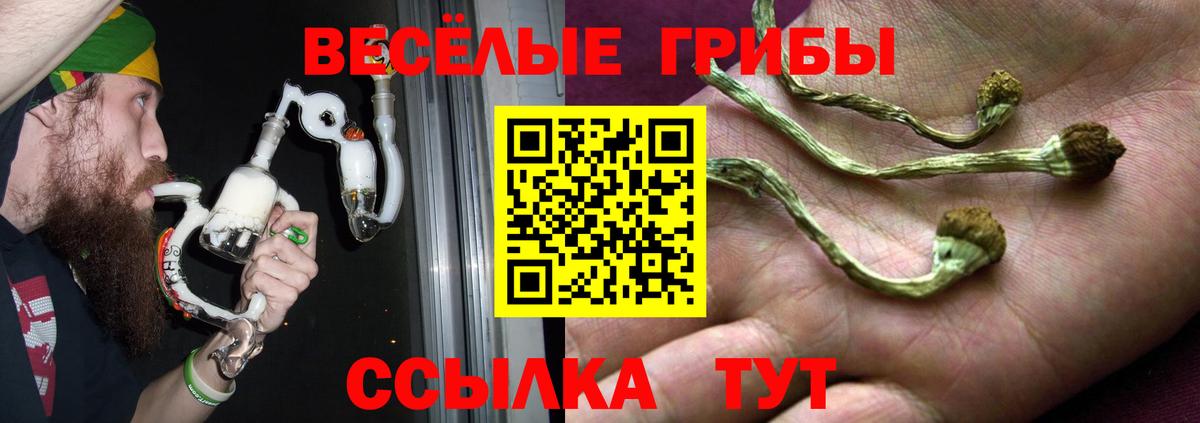 Нововоронеж  Псилоцибиновые грибы мицелий  Вход с VPN 